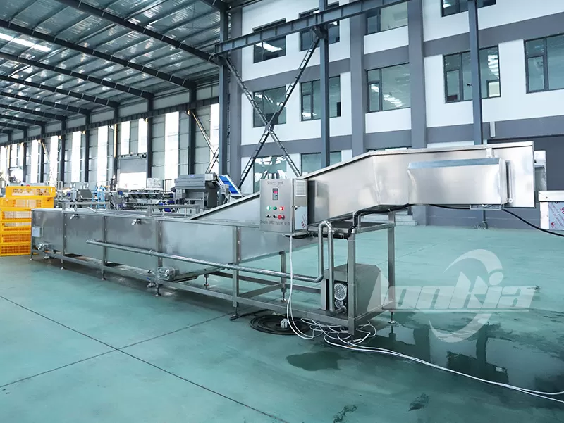 Chicken Crate Washer: Why Is a Separate Rinsing Stage Necessary?