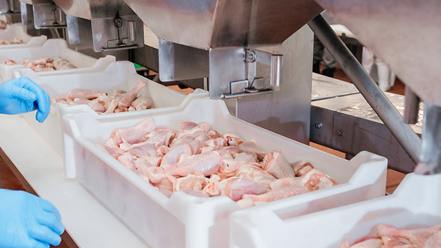 Plastic Trays/Baskets