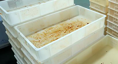Plastic Trays