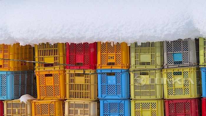 Step-by-Step Guide to Cleaning Crates Efficiently with a Crate Washing Machine