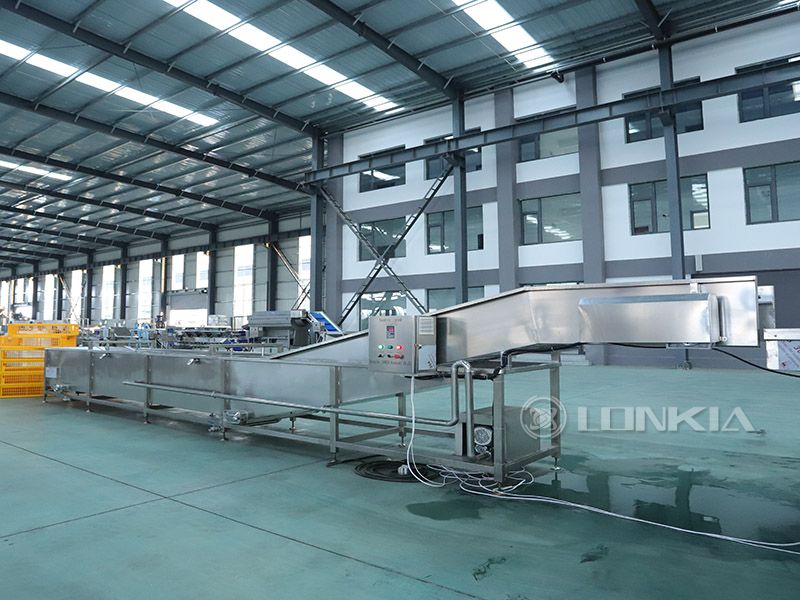 Industrial crate washer plant