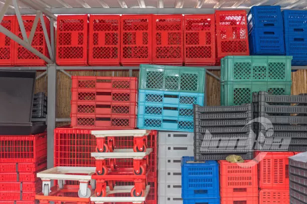 Customizing a Container Washer: What You Should Know Before You Order?