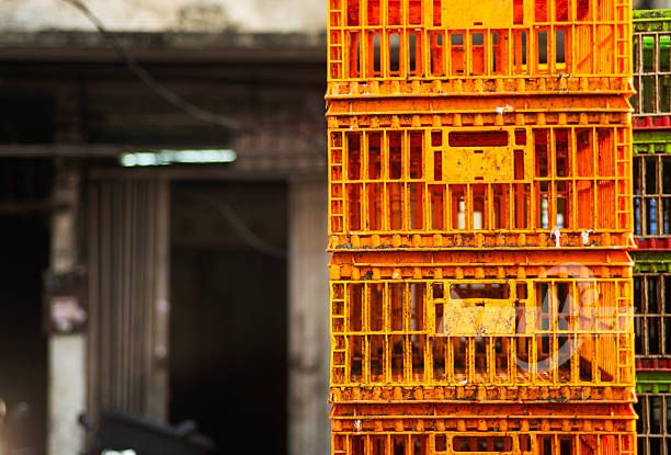 chicken crates